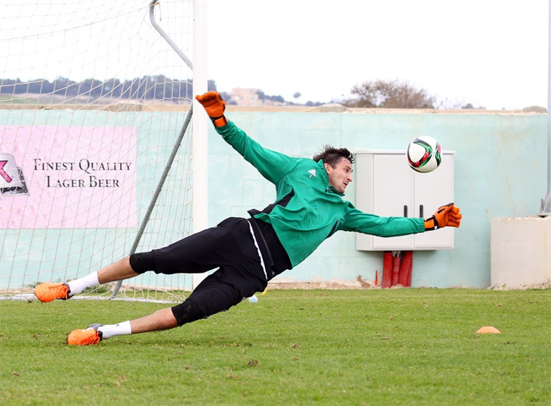 В объективе: Стражи ворот