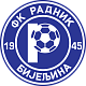 Радник